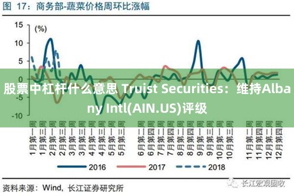 股票中杠杆什么意思 Truist Securities：维持Albany Intl(AIN.US)评级