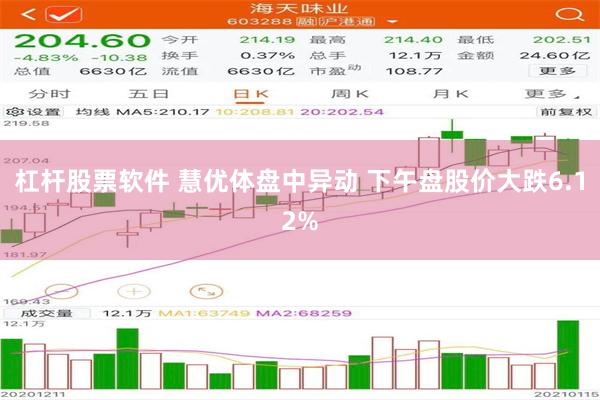 杠杆股票软件 慧优体盘中异动 下午盘股价大跌6.12%