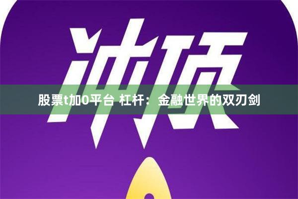 股票t加0平台 杠杆：金融世界的双刃剑