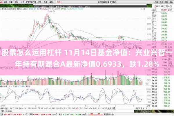 股票怎么运用杠杆 11月14日基金净值：兴业兴智一年持有期混合A最新净值0.6933，跌1.28%