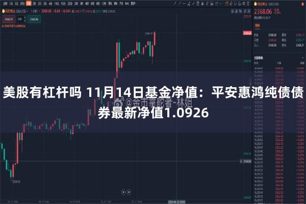 美股有杠杆吗 11月14日基金净值：平安惠鸿纯债债券最新净值1.0926