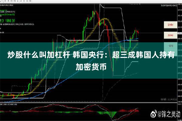 炒股什么叫加杠杆 韩国央行：超三成韩国人持有加密货币